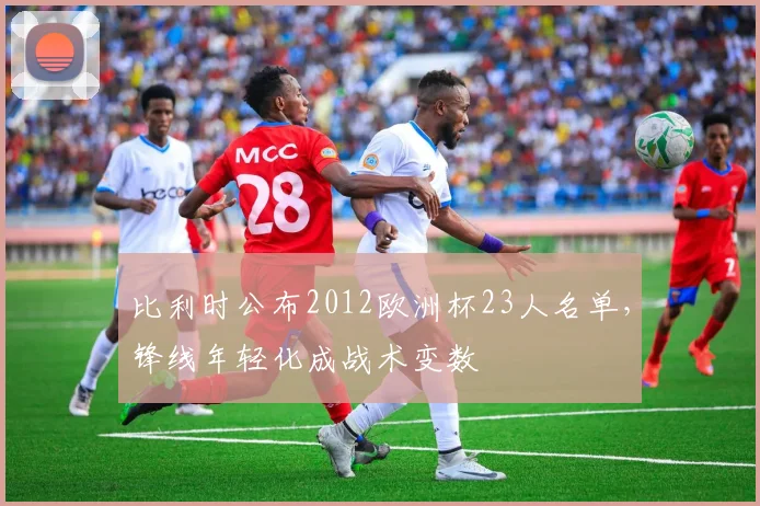 比利时公布2012欧洲杯23人名单，锋线年轻化成战术变数