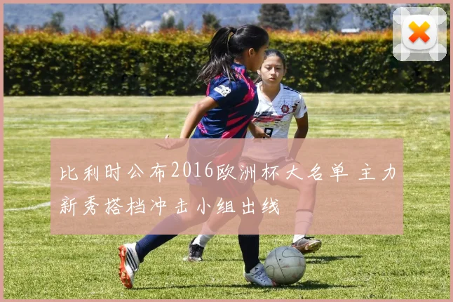 比利时公布2016欧洲杯大名单 主力新秀搭档冲击小组出线