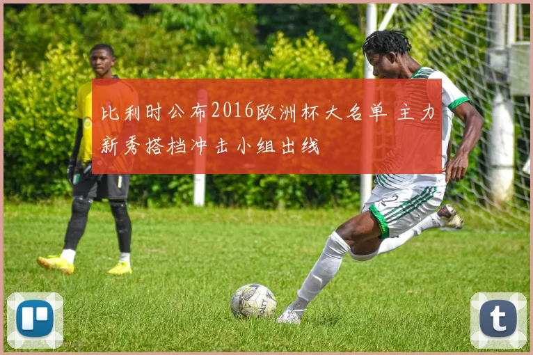 比利时公布2016欧洲杯大名单 主力新秀搭档冲击小组出线