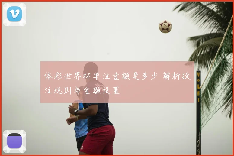 体彩世界杯单注金额是多少 解析投注规则与金额设置