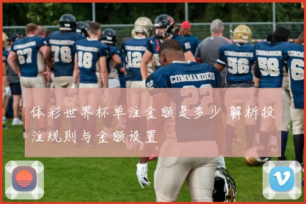 体彩世界杯单注金额是多少 解析投注规则与金额设置