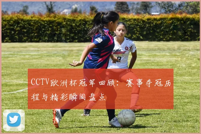 CCTV欧洲杯冠军回顾：赛事夺冠历程与精彩瞬间盘点