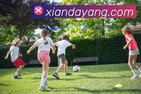 奇异果官网入口发展历程